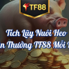 Tích Lũy Nuôi Heo Nhận Thưởng TF88 Mỗi Ngày