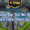 Thưởng Nạp Tiền Mỗi Ngày Lên Đến 2,000 VNDP Tại TF88