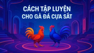 Cách tập luyện cho gà đá cựa sắt