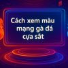 Cách xem màu mạng gà đá cựa sắt: Tuyệt kỹ bắt kèo thắng lớn từ cao thủ 89BET