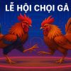 Lễ hội chọi gà: Từ tinh hoa dân gian đến cú “đá vàng” online tại 89BET!